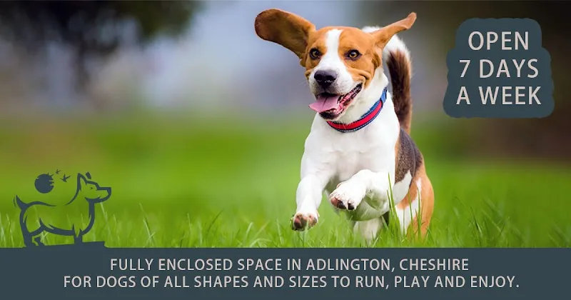 Adlington Dog Field secure private dog field in Macclesfield, SK10 4PH