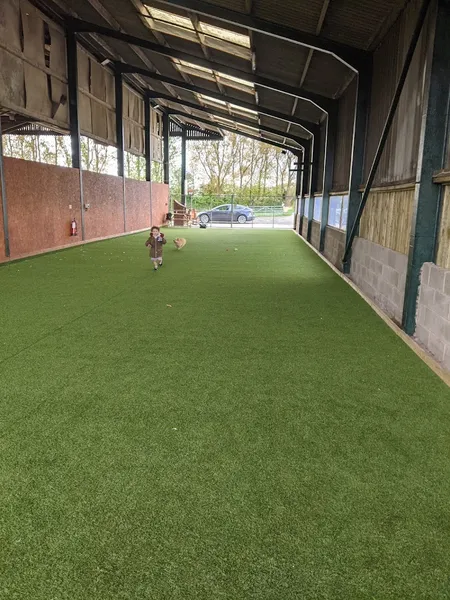 My Dog Meadow - Secure dog exercise secure private dog field in Lathom, L40 4BN