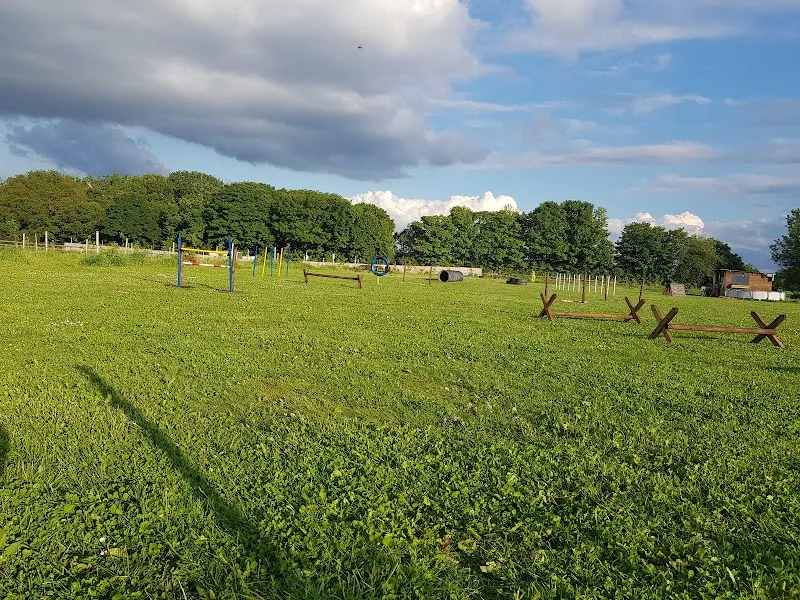 Bluerose Dog Park secure private dog field in Dudley, DY3 4NT
