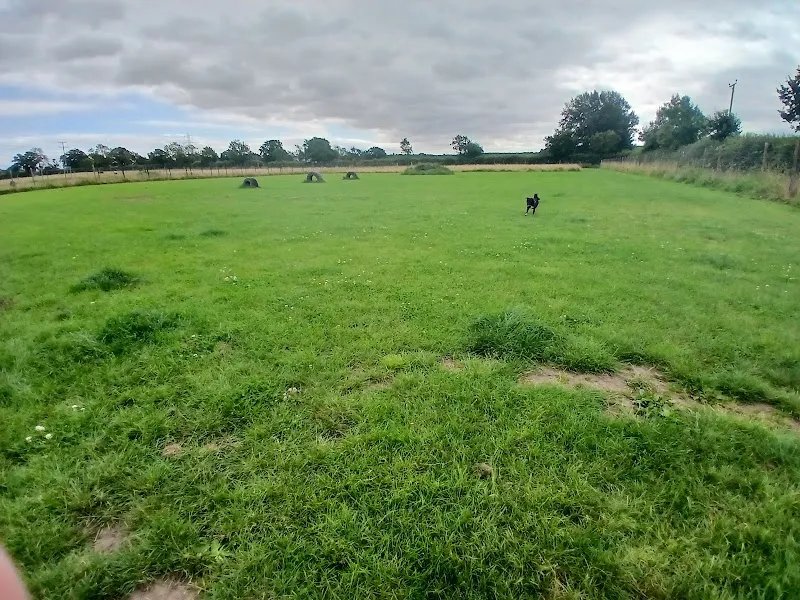 Flaxton Dog Park secure private dog field in York, YO60 7QZ