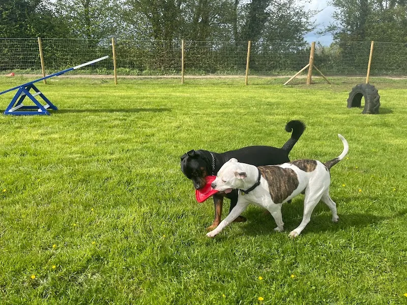 Bound Around Oxford secure private dog field in Oxford, OX3 0QG