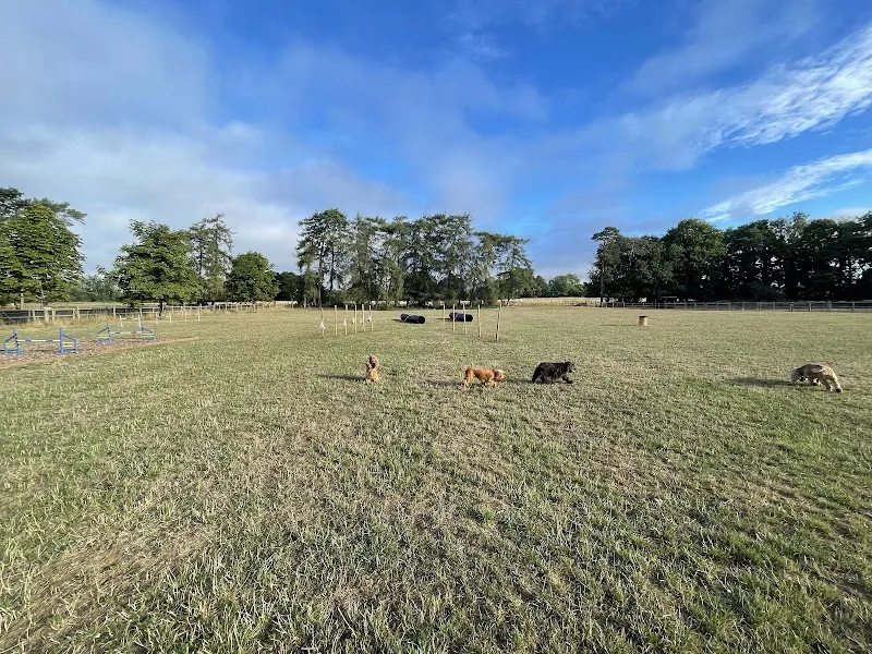Bradford on Avon Dog Walking Fields secure private dog field in Bradford-on-Avon, BA15 2AL