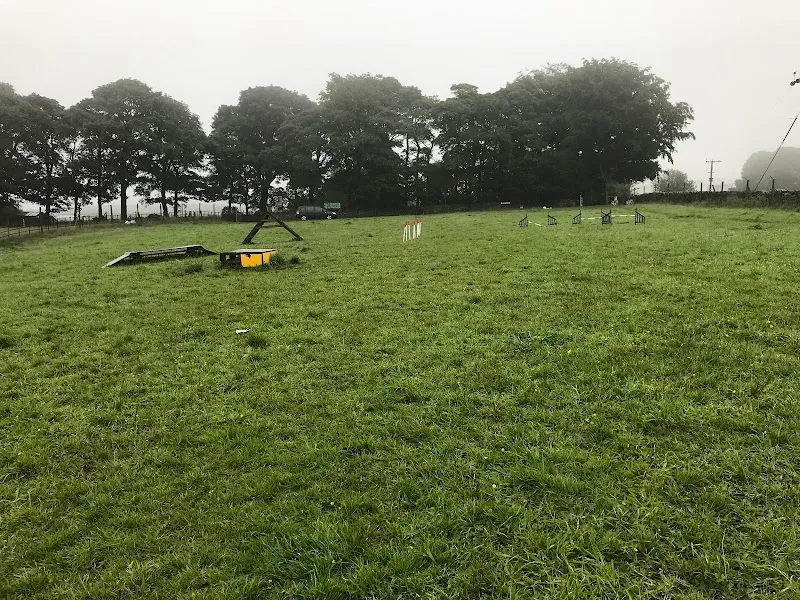 Barklands Secure Dog Walking secure private dog field in Holmfirth, HD9 4DX