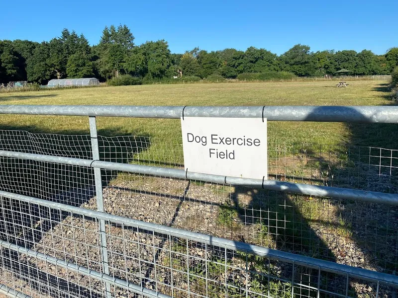 Bankside Farm Dog Exercise Field secure private dog field in Ditchling Common, RH15 0SJ