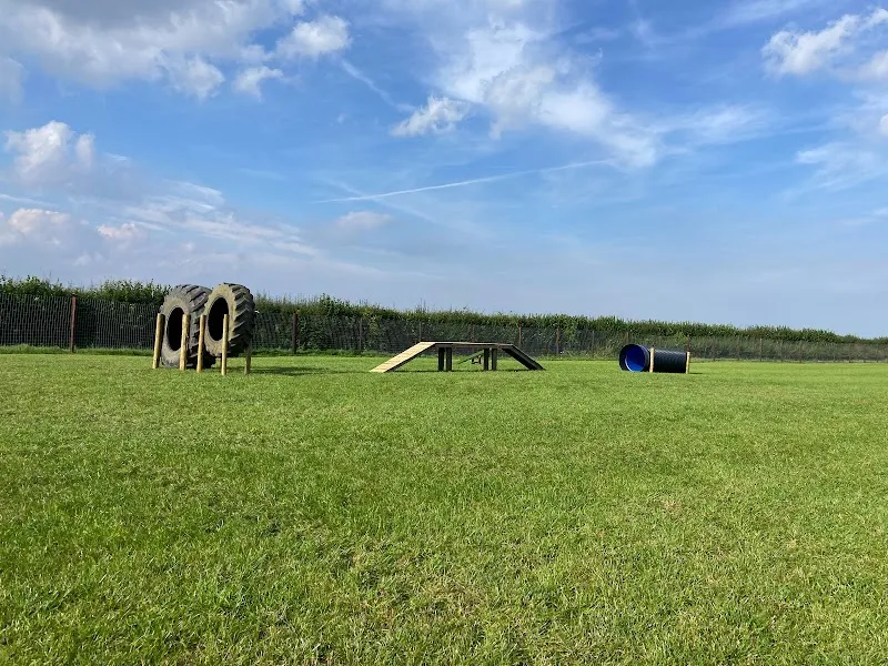 Ings Secure Dog Walking Field secure private dog field in HU17 9GP