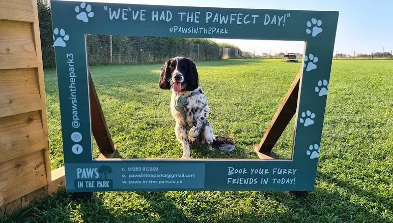 Paws in the Park secure dog field secure private dog field in Burton-on-Trent, DE13 9PJ