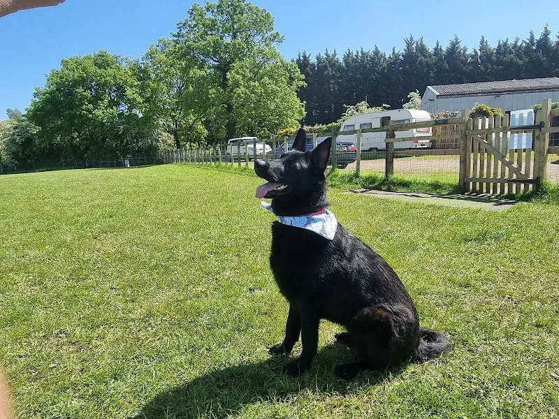 Meadow View Mutts Secure Dog Field secure private dog field in Halesowen, B62 0ER
