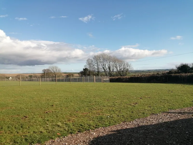Dog & Dash secure private dog field in Kingsbridge, TQ7 3JF