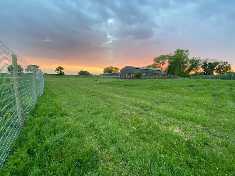 Outward Hounds Halmerend secure private dog field in Stoke-on-Trent, ST7 8AW