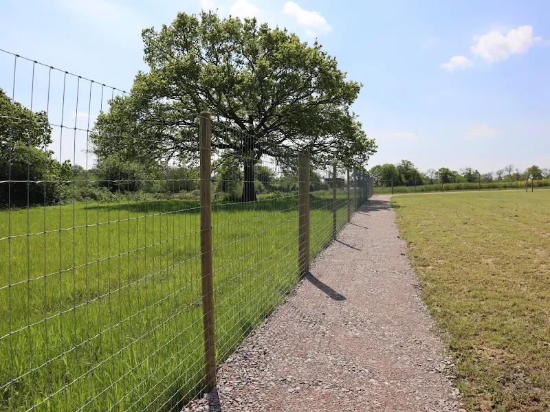 Paw Paddock - Cuckfield secure private dog field in Cuckfield, RH17 5JT