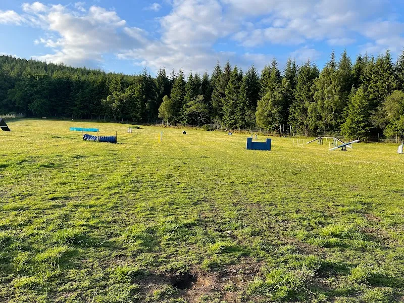 WaggTail Woods secure private dog field in North Kessock, IV1 3XG