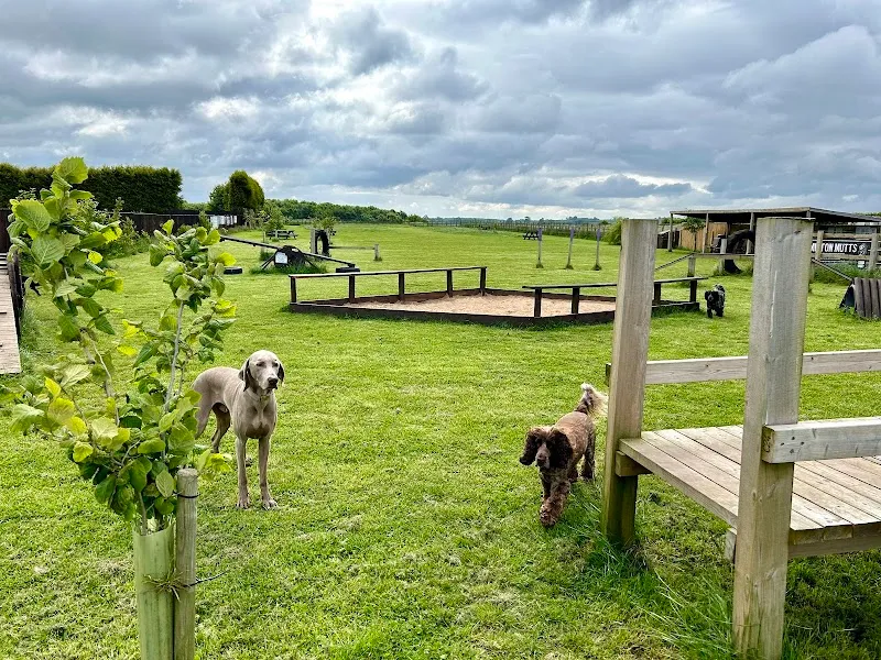 Mutts Go Nutts secure private dog field in Newark, NG22 9NQ