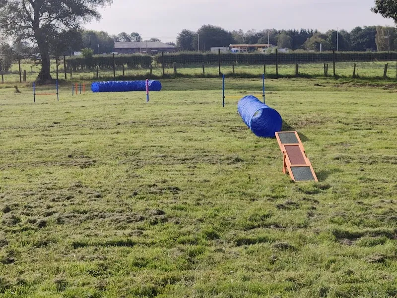Doggy Dreamland Ltd secure private dog field in Dumfries, DG1 3SF