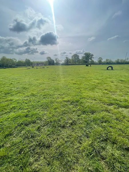 Jump & Go Dog Parks secure private dog field in Templecombe, BA8 0BJ