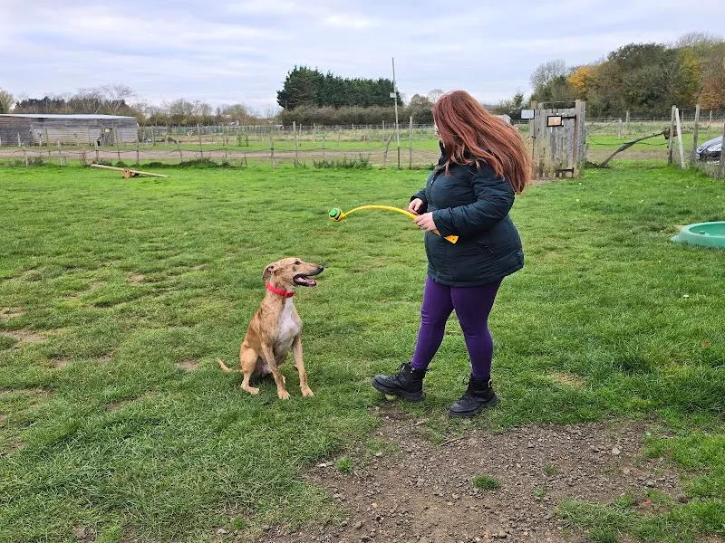 k9 park and play secure private dog field in SG7 5EY