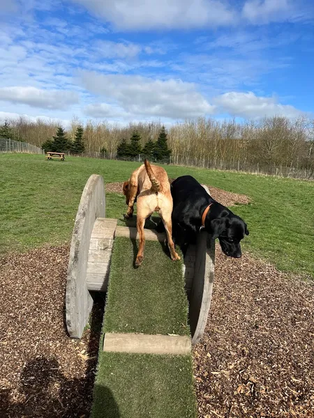 Woof and Tumble Field secure private dog field in Leeds, LS18 5HZ