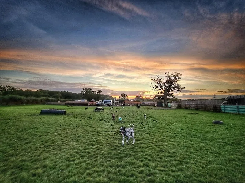 RhoBull Dog Park secure private dog field in Waterlooville, PO7 6UQ