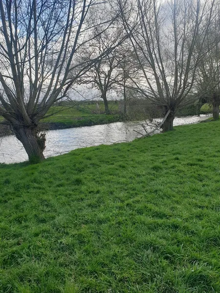 River Meadow Dog Walking Fields secure private dog field in Stratford-upon-Avon, CV378HR