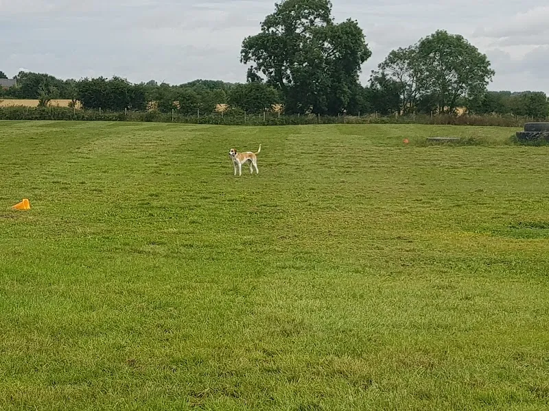 Carr Secure Dog Walking Field secure private dog field in Beverley, HU17 7JZ