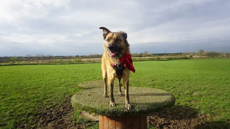 Carr Secure Dog Walking Field secure private dog field in Beverley, HU17 7JZ
