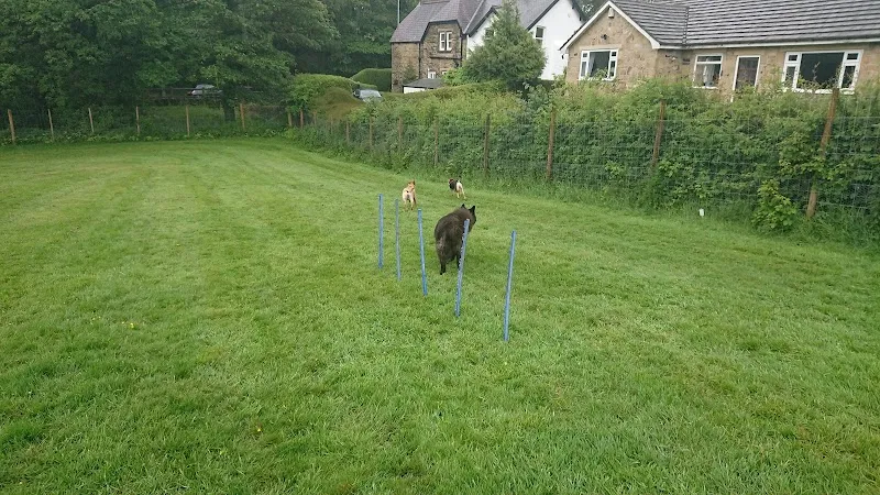 Baffles Secure Dog Fields secure private dog field in Menston, LS29 6NS