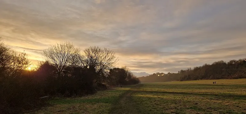 Findon Dog Field secure private dog field in Findon, BN13 3DD