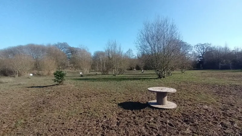 K9 Meadows secure private dog field in RG27, RG27 8JL