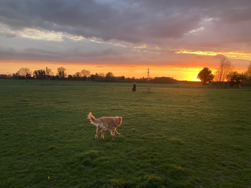 Purton Dog Walking Field secure private dog field in Bridge Purton, SN54JU
