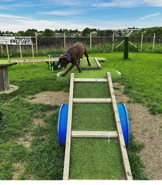 Bingley View Dog Park secure private dog field in East Morton, BD20 5SU