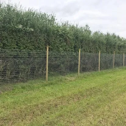 My Dog Run Stewkley secure private dog field in Stewkley, LU7 0HW