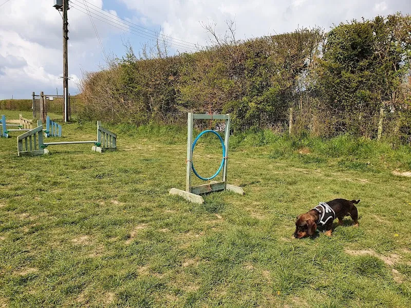 Horlands Farm secure private dog field in Kent, TN12 9DB