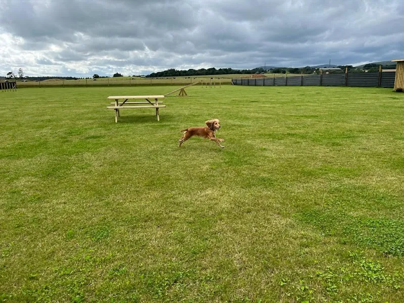 Pawmill Kinross Dog Park secure private dog field in Kinross, KY13 0PN