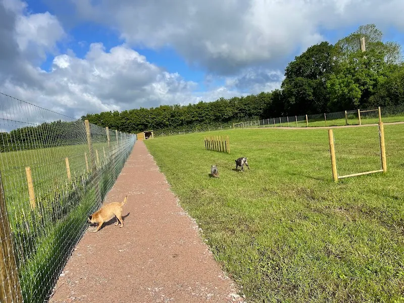 Paw Paddock - Liss secure private dog field in East Hampshire, GU32 1QF