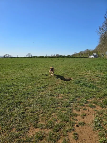 West Haddon Playing Fields and Pavillion secure private dog field in NN6 7DG