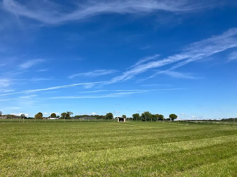 Paw Paddock - Upham secure private dog field in Southampton, SO32 1JP