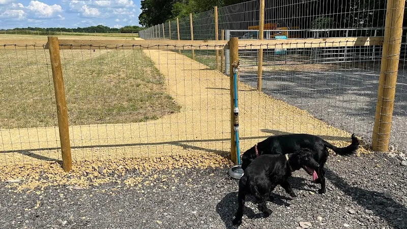 Paw Paddock - Upham secure private dog field in Southampton, SO32 1JP