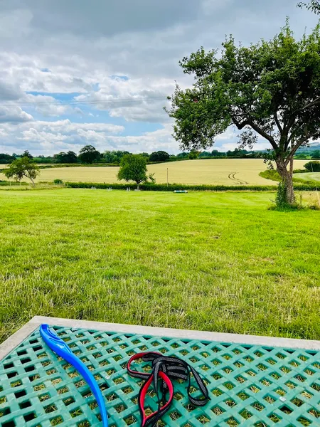 Happy Paws Outdoors secure private dog field in Ledbury, HR8 2SQ