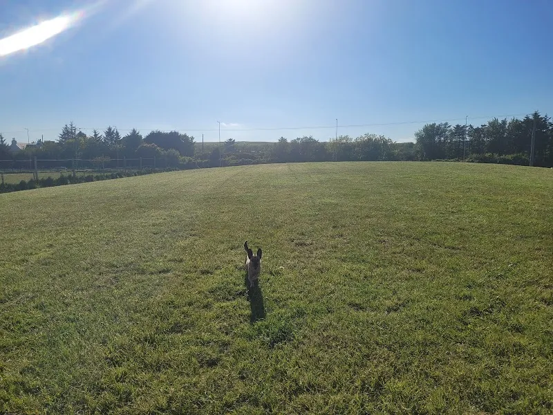 Run Free Dog Fields - Bridge of Don secure private dog field in Aberdeen, AB23 8AR