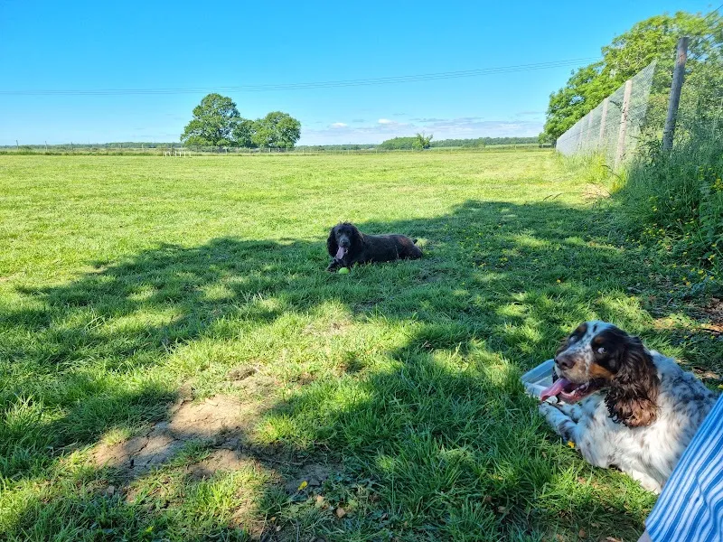 Deanshanger Dog Walking Field secure private dog field in MK19 6JB