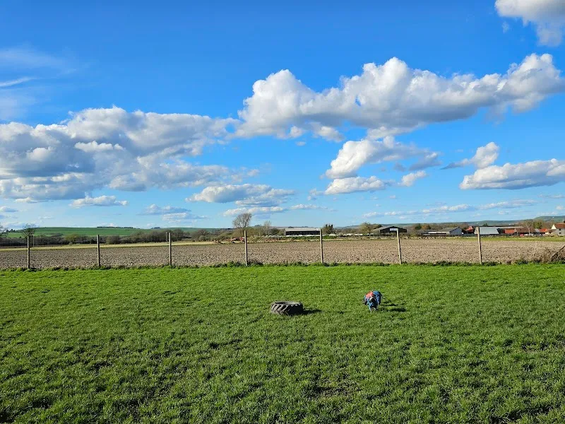 Foxley Paddock - Secure Dog Walking Field secure private dog field in Devizes, SN10 3PX