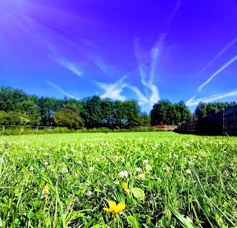 Astley Dog Park and Agility . secure private dog field in Manchester, M29 7JL