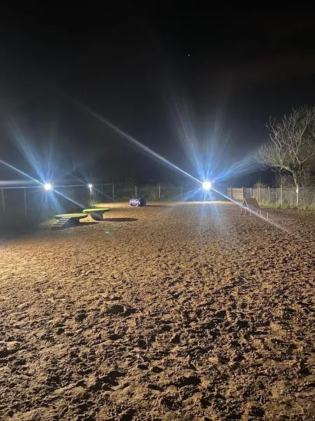 Belvedere Dog Park secure private dog field in Donaghadee, BT21 0PB