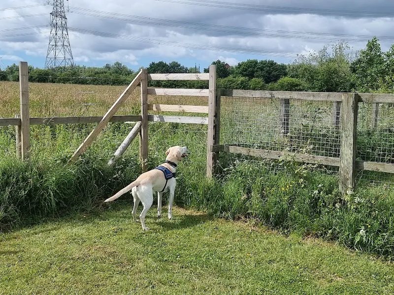 Micklehead Dog Run secure private dog field in Saint Helens, WA9 4YR