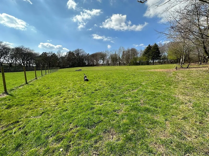 The Dogs Paddocks Longdendale secure private dog field in Hyde, SK14 6SH