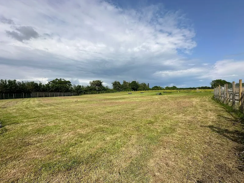 The Dogs Paddocks Nantwich secure private dog field in Nantwich, CW5 8LJ