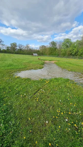 Contented Canine Secure Dog Fields secure private dog field in Cheltenham, GL51 0TW