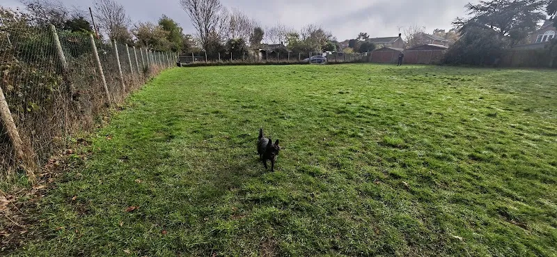 Maisie's Meadow secure private dog field in Rochford, SS9 5QU