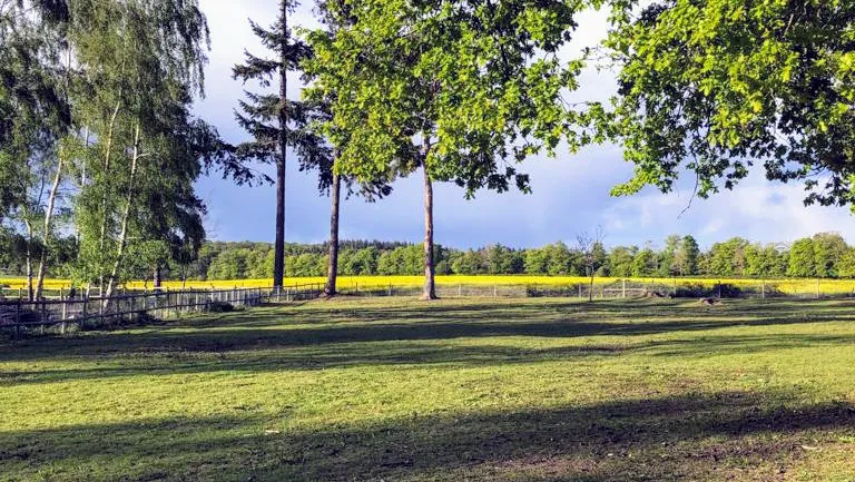 K9 Woodland Services secure private dog field in RG4 9HG
