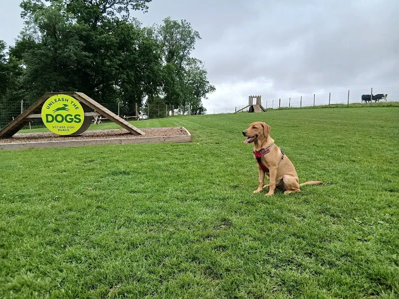 Unleash the Dogs - Carmunnock Dog Fields secure private dog field in Glasgow, G76 9HN