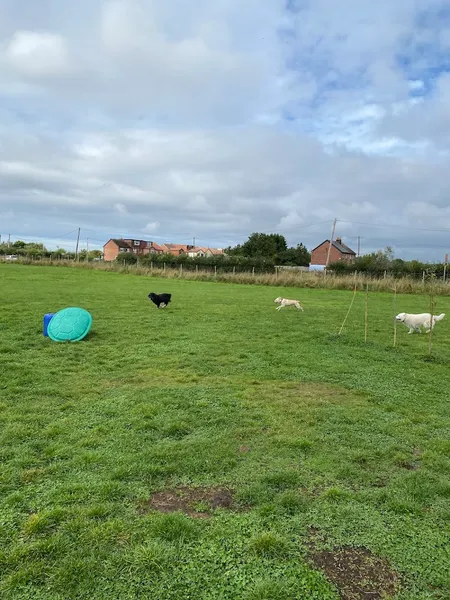 Jacksmere Dog Walking Field secure private dog field in Southport, PR8 5JA